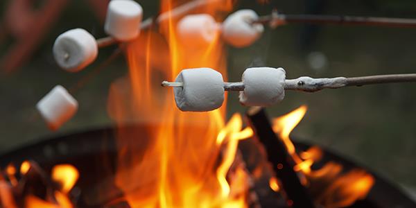 Marshmallows being roasted on a camp fire