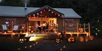 Pumpkin Season! Halloween fun at Lantern & Larks