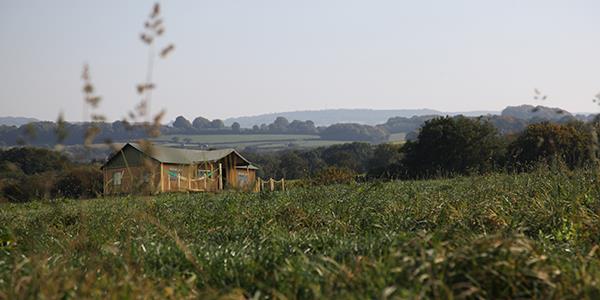 Lantern & Larks Glamping tent in green field with rolling hills