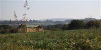 Where to walk in Somerset