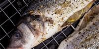 Fire Pit Food: summertime specials