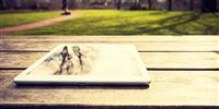 National Unplugging Day