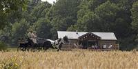Horse and cart at Sweffling, Suffolk