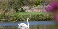 Nature Calls: the very best of British glamping