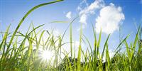 Glamping Activities for Kids – Cloud spotting