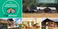 TripAdvisor Certificate of Excellence