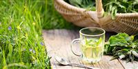 Why the world is suddenly nuts about nettles.