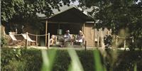 Glamping essentials for your next Lantern & Larks adventure