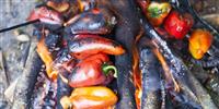 Five delicious, healthy campfire meals