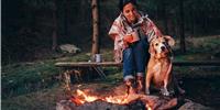 Dog-friendly attractions to get tails wagging