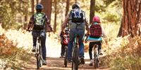 Saddle up: Best cycle routes in the Forest of Bowland
