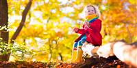 Top tips, and autumn craft ideas to have fun and keep busy this season.
