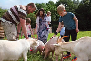 Pet the resident goats at Kittisford Barton