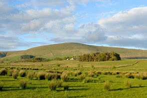 Beautiful sights from the our Bleasdale, Lancashire site