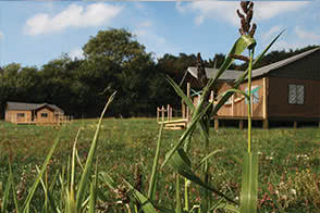 A view of our Sweffling tents