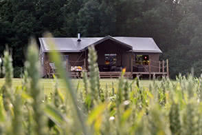 Cosy lite tents at Sweffling site