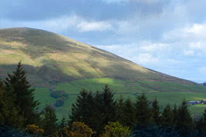 Looking into the hills