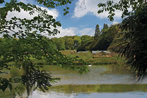 Enjoy the swans swimming the Exton Park lake
