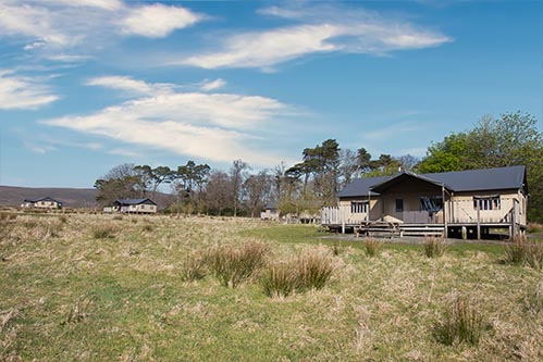 Lantern and Larks - Bleasdale