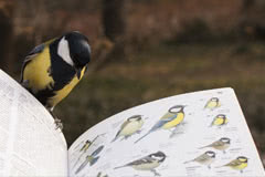 Book a holiday at our Lancashire glamping site