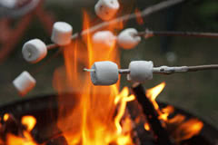 Book a holiday at our Lancashire glamping site
