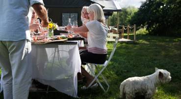Glamping with dogs