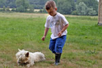 Dogs are welcome at all our glmaping locations
