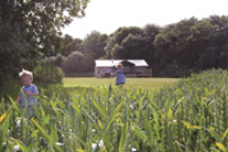 Kids playing in a field outside a glamping site - thumbnail