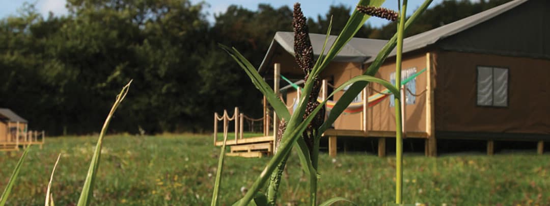 Our glamping tents are custom built