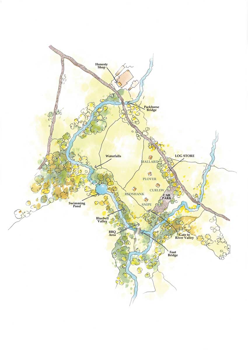 Sitemap