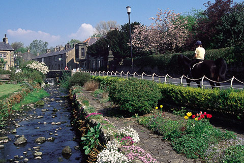 Waddington