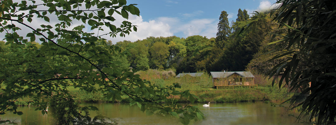 View a lake and a glamping tent from a distance