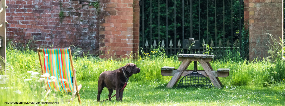 Dog friendly glamping in Exton Park Rutland