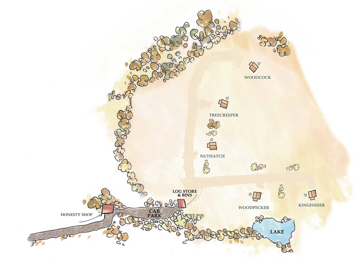 Sitemap