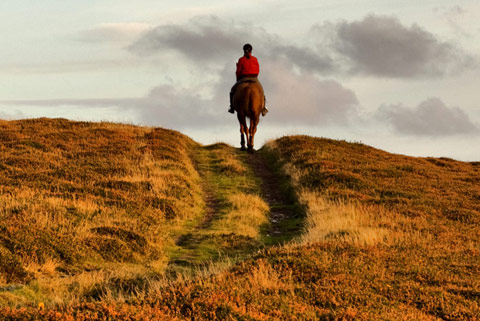 Quantock Trekking
