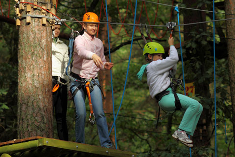 Go Ape in Haldon Forest Park