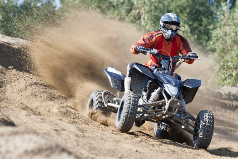 Quad World