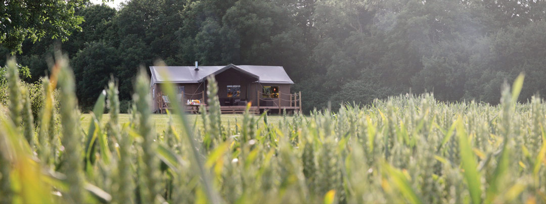 Photo of a glamping tent in Sweffling from the distance