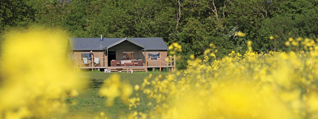 One of our glamping tents in Sweffling glamping site from the distance