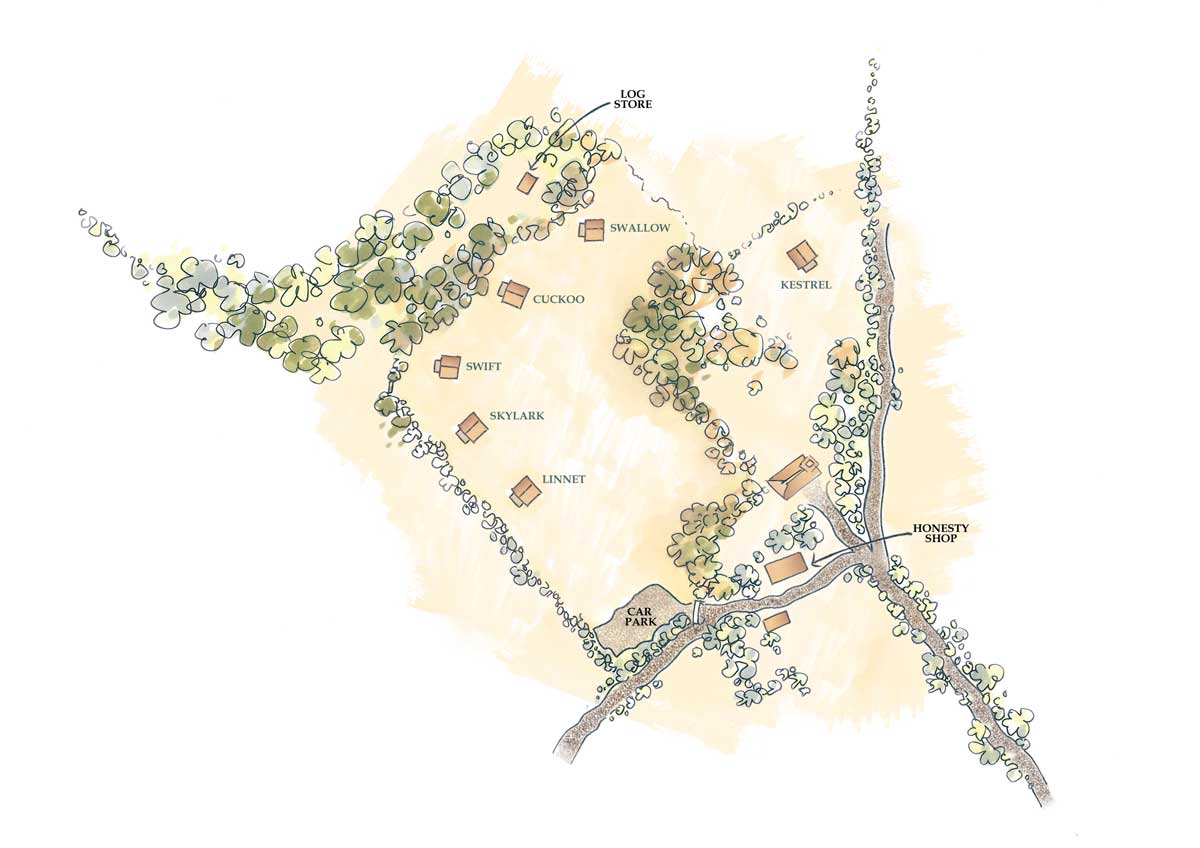 Sitemap