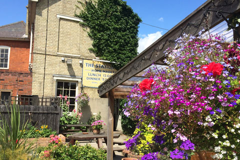 Dog Friendly Pub